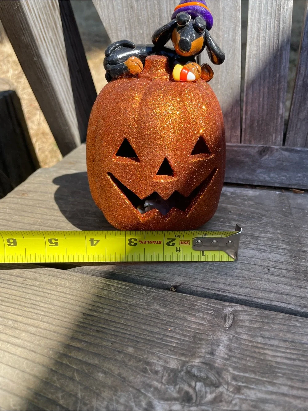 HANDMADE DACHSHUND HALLOWEEN PUMPKIN